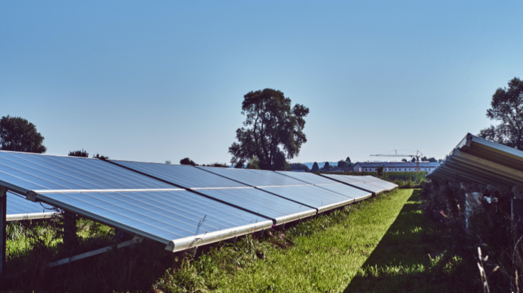 Shining a light on the barriers to solar energy rollout 